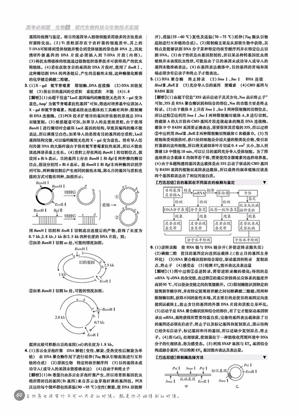 2019高考必刷題生物4現(xiàn)代生物科技與生物技術(shù)實踐參考答案