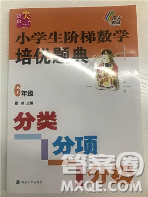 2018年南大輔教小學(xué)生階梯數(shù)學(xué)培優(yōu)題典六年級(jí)參考答案