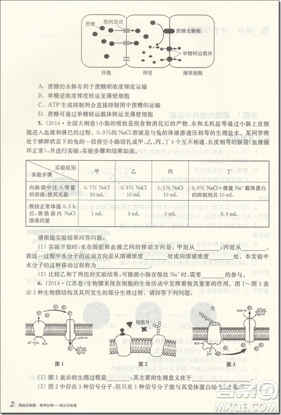 2018年高考生物挑戰(zhàn)壓軸題強化訓(xùn)練篇參考答案