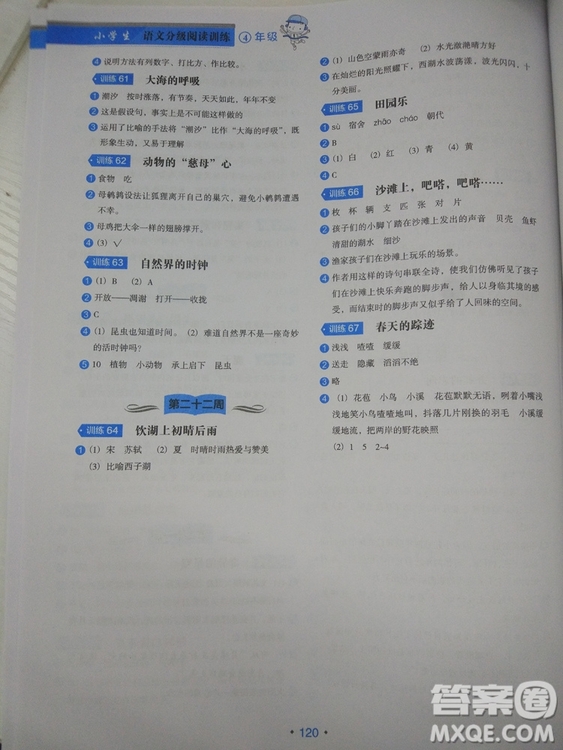 2018正版小學(xué)生語文分級閱讀訓(xùn)練4年級通用版答案