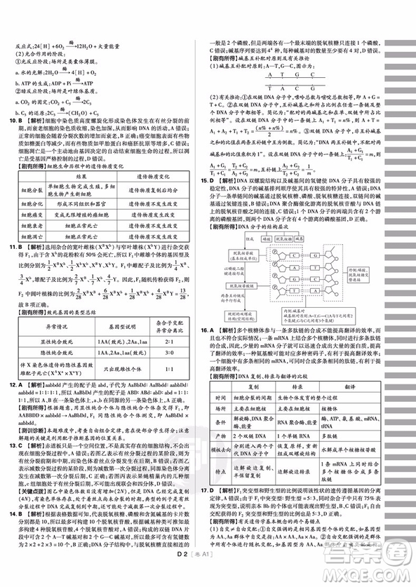 理想樹(shù)高考必刷卷小卷21套生物2018參考答案