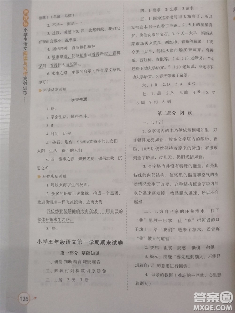 2018年新課標(biāo)小學(xué)生語(yǔ)文閱讀與寫(xiě)作高效訓(xùn)練五年級(jí)通用版參考答案