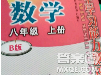 2018自主學(xué)習(xí)能力測評數(shù)學(xué)8八年級上冊參考答案