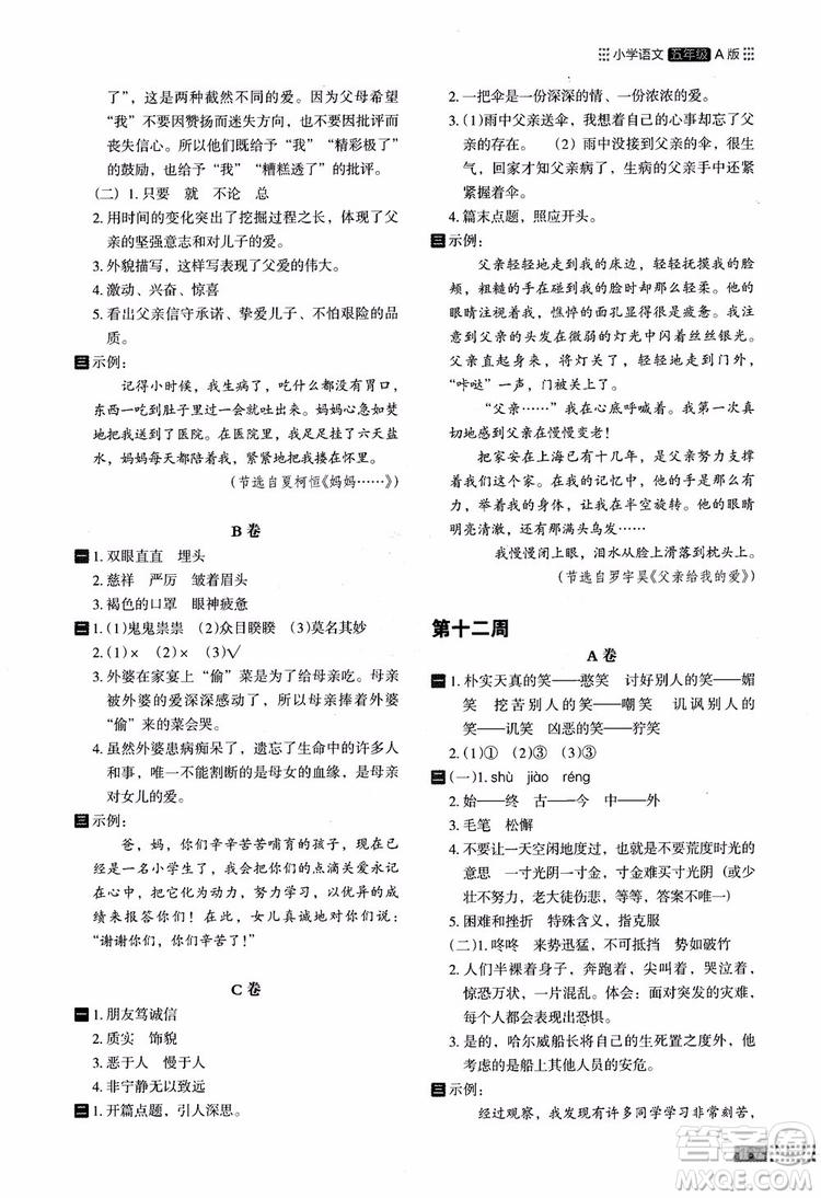 2018年木頭馬閱讀小卷小學(xué)語(yǔ)文5年級(jí)A版參考答案