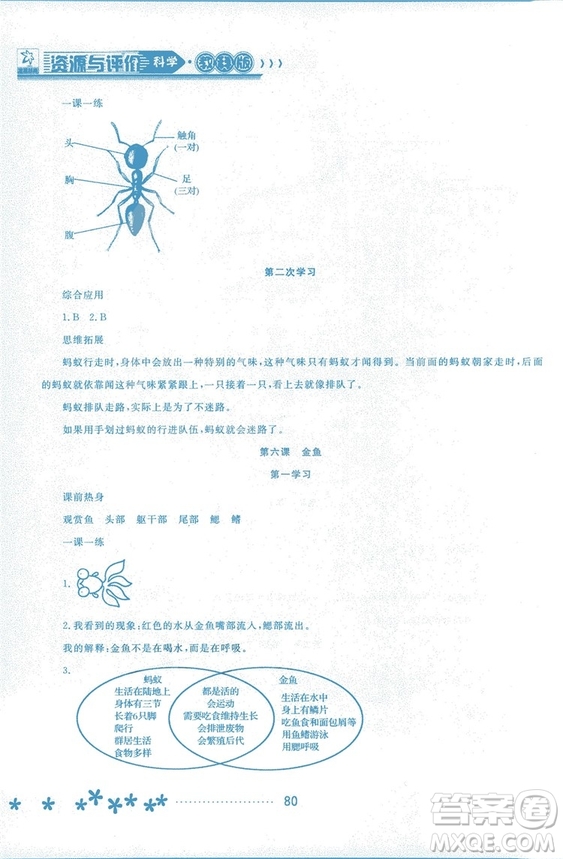 2018資源與評(píng)價(jià)科學(xué)三年級(jí)上冊(cè)教科版參考答案