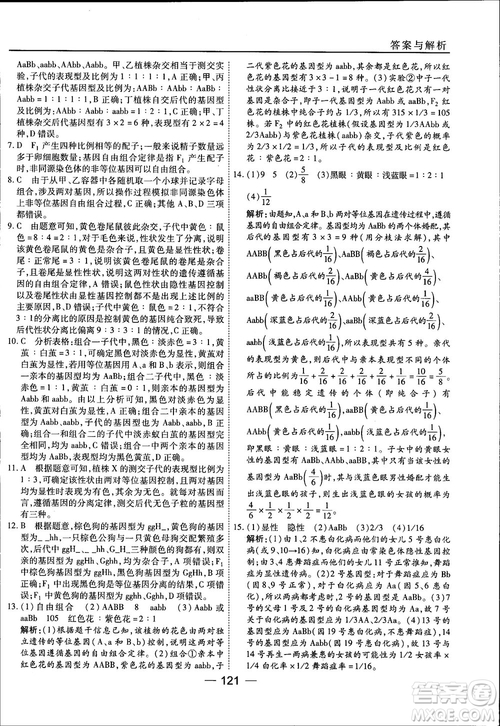 45分鐘課時(shí)作業(yè)與單元測試人教版高中生物必修2參考答案