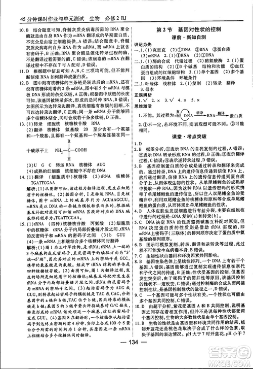 45分鐘課時(shí)作業(yè)與單元測試人教版高中生物必修2參考答案