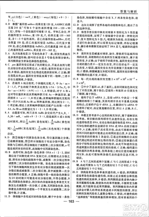 45分鐘課時(shí)作業(yè)與單元測試人教版高中生物必修2參考答案