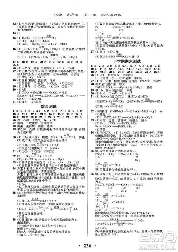 2018版新課改課堂作業(yè)化學九年級全一冊北京課改版答案