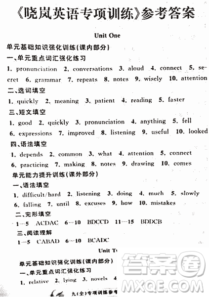 2018曉嵐英語專項訓練九年級全冊參考答案