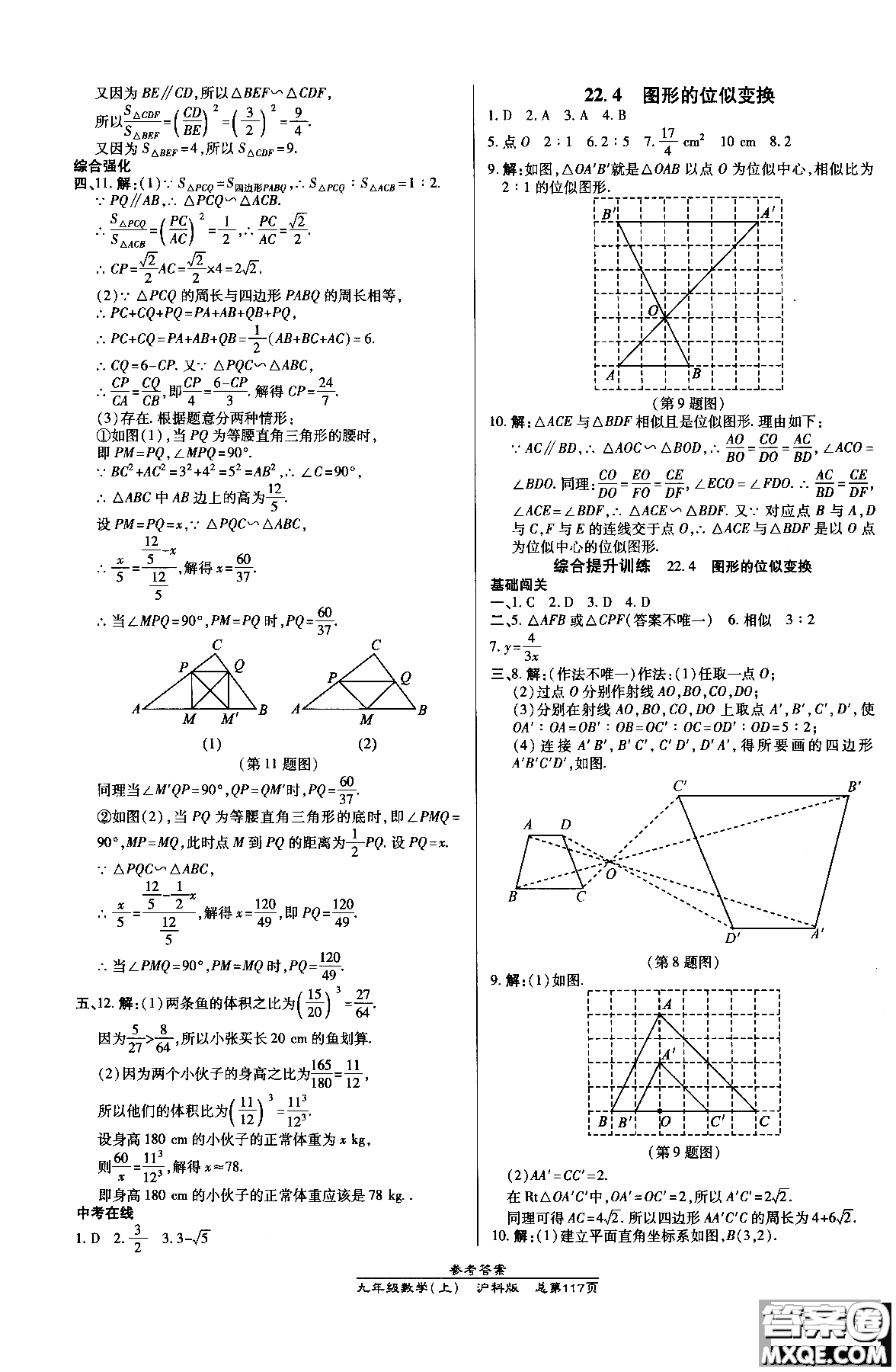 9787513109437高效課時(shí)通九年級數(shù)學(xué)滬科版上冊2019版參考答案