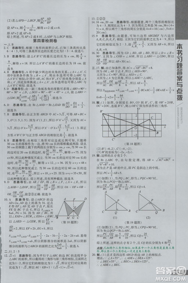 2019版倍速學(xué)習(xí)法九年級數(shù)學(xué)上冊北師大版直通中考參考答案