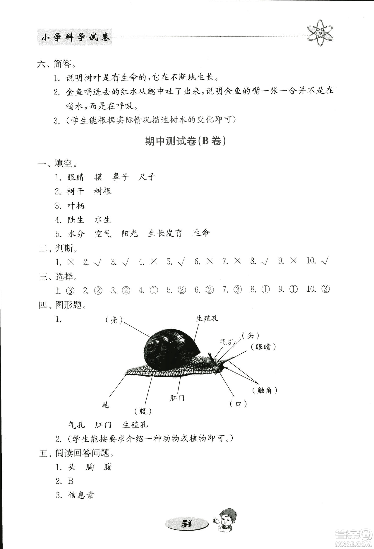 2018秋教科版金鑰匙小學(xué)科學(xué)試卷三年級上冊參考答案