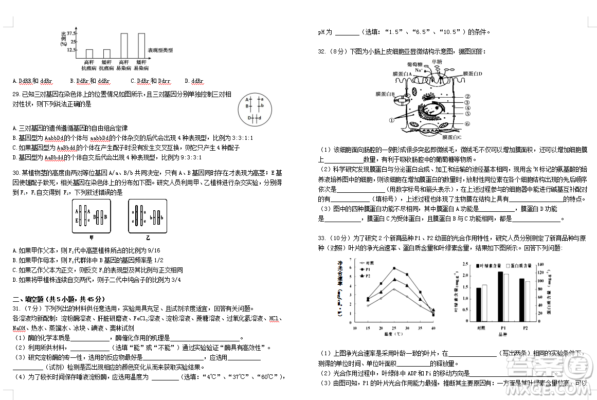 2019屆荊荊襄宜四地七?？荚嚶?lián)盟高三10月聯(lián)考生物答案