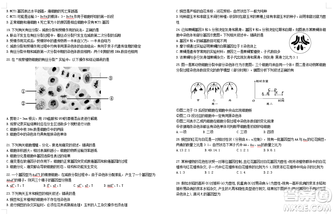 2019屆荊荊襄宜四地七?？荚嚶?lián)盟高三10月聯(lián)考生物答案