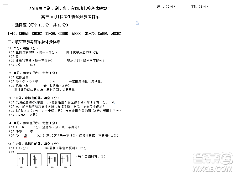 2019屆荊荊襄宜四地七?？荚嚶?lián)盟高三10月聯(lián)考生物答案