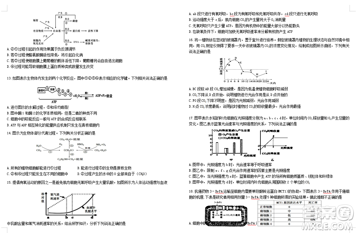 2019屆荊荊襄宜四地七校考試聯(lián)盟高三10月聯(lián)考生物答案