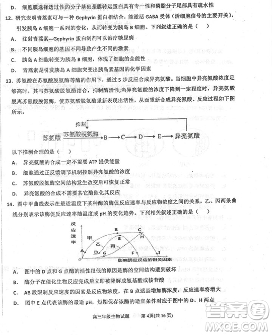 2019屆河北省衡水中學(xué)高三上學(xué)期三調(diào)考試歷史試題及答案