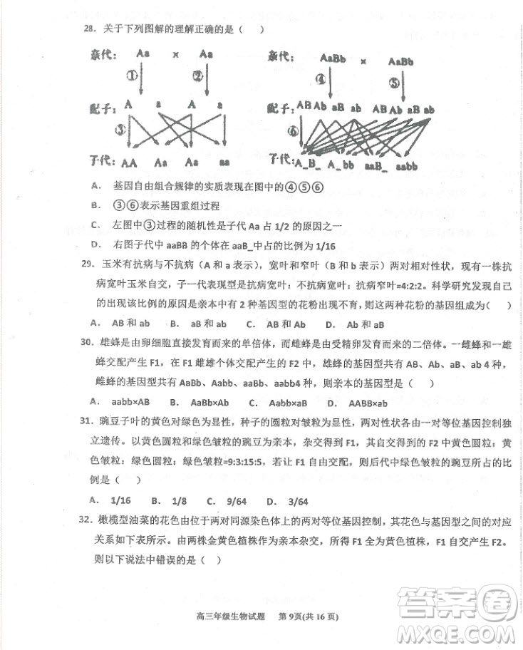 2019屆河北省衡水中學(xué)高三上學(xué)期三調(diào)考試歷史試題及答案