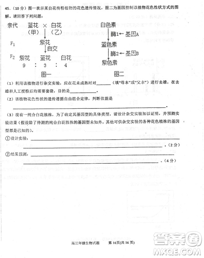 2019屆河北省衡水中學(xué)高三上學(xué)期三調(diào)考試歷史試題及答案