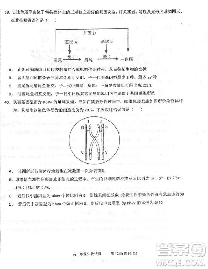 2019屆河北省衡水中學(xué)高三上學(xué)期三調(diào)考試歷史試題及答案