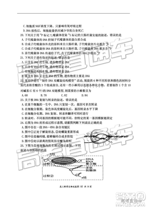 湖北省部分重點(diǎn)中學(xué)2019屆高三第一次聯(lián)考理科綜合參考答案