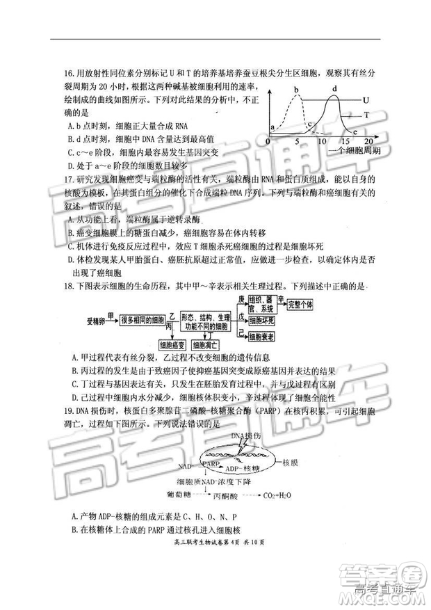 湖北省部分重點(diǎn)中學(xué)2019屆高三第一次聯(lián)考理科綜合參考答案