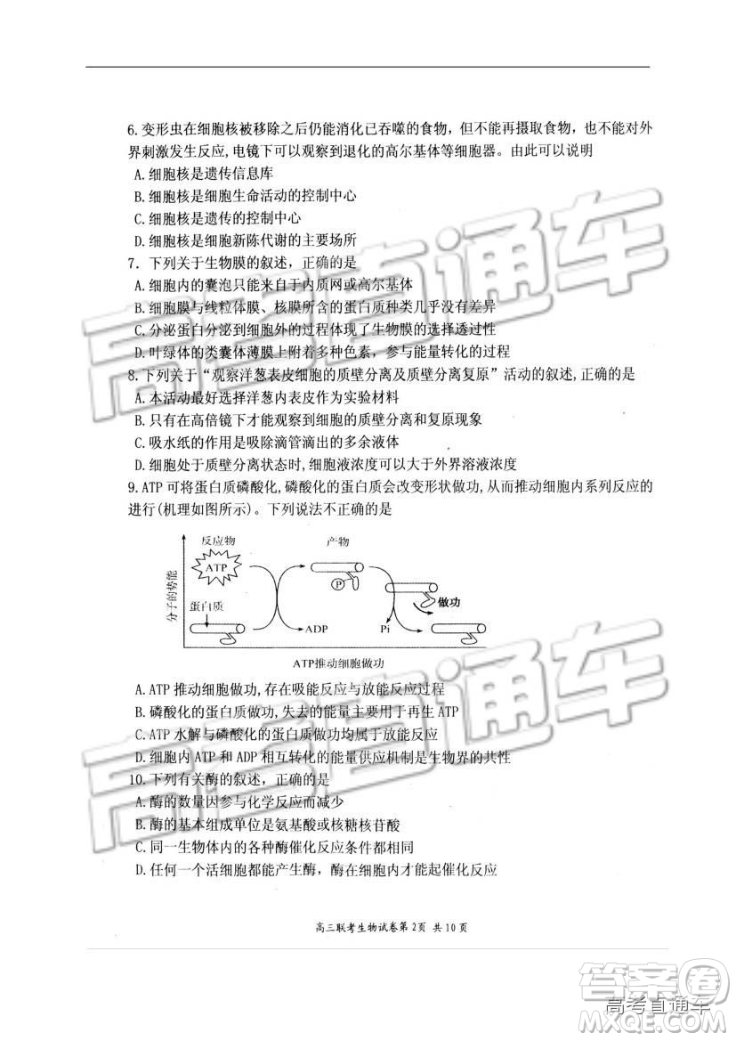 湖北省部分重點(diǎn)中學(xué)2019屆高三第一次聯(lián)考理科綜合參考答案