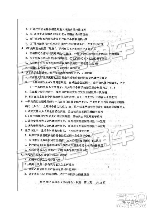 2019四川省仁壽縣高三11月份零診測試?yán)砭C試題及參考答案