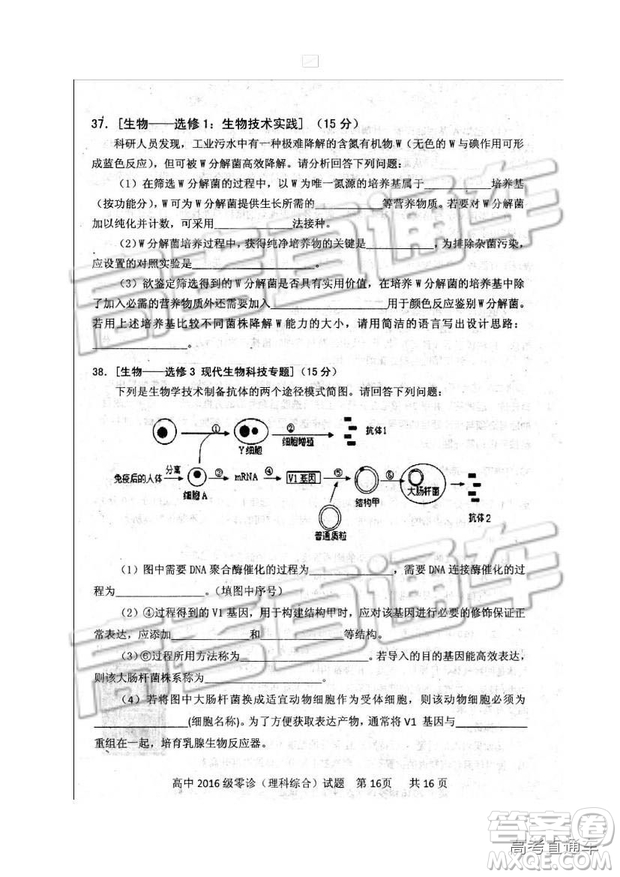 2019四川省仁壽縣高三11月份零診測試?yán)砭C試題及參考答案