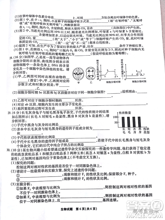 江淮十校2019高三第二次聯考理科綜合試題及參考答案