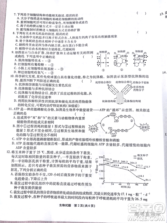 江淮十校2019高三第二次聯考理科綜合試題及參考答案