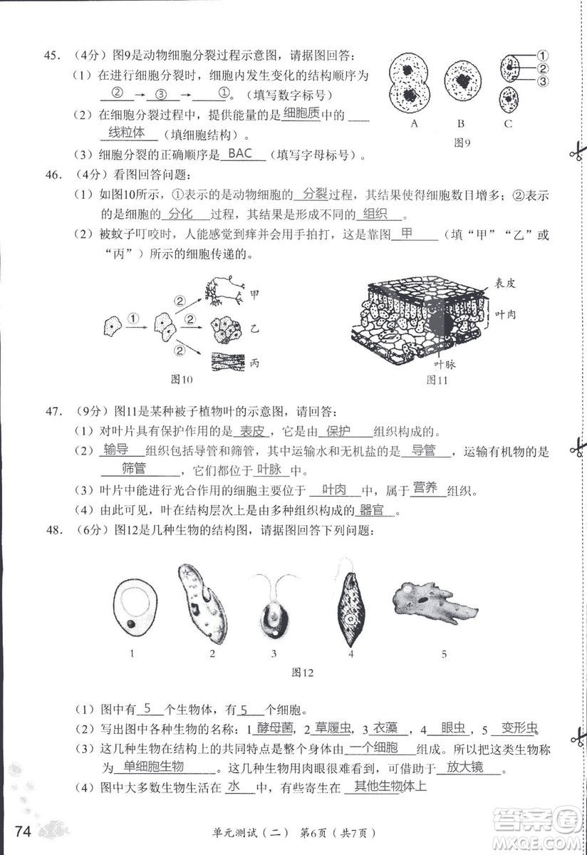 2018秋知識與能力訓練生物學七年級上冊人教版答案