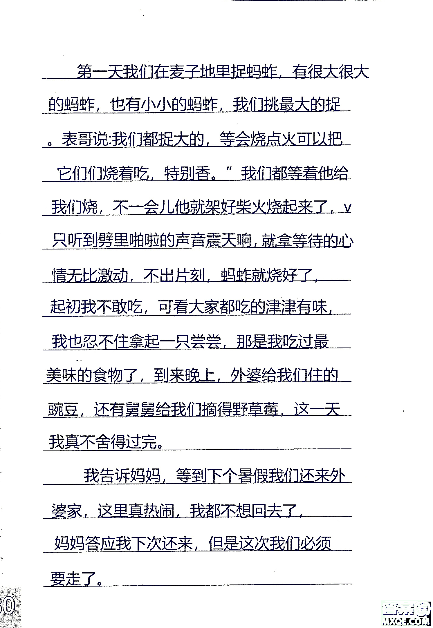 2018年鳳凰教育練習(xí)與測試四年級上冊語文江蘇版參考答案