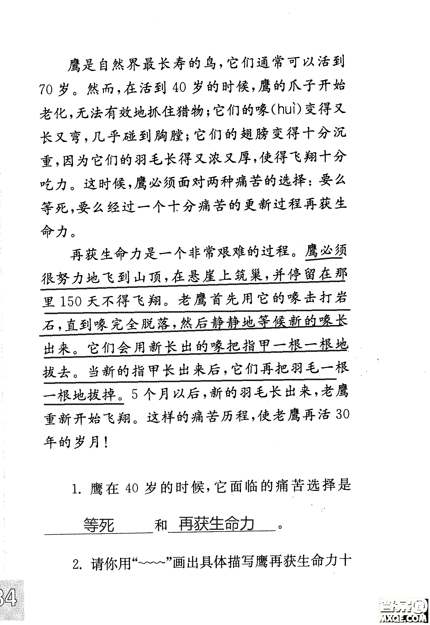 2018年鳳凰教育練習(xí)與測試四年級上冊語文江蘇版參考答案