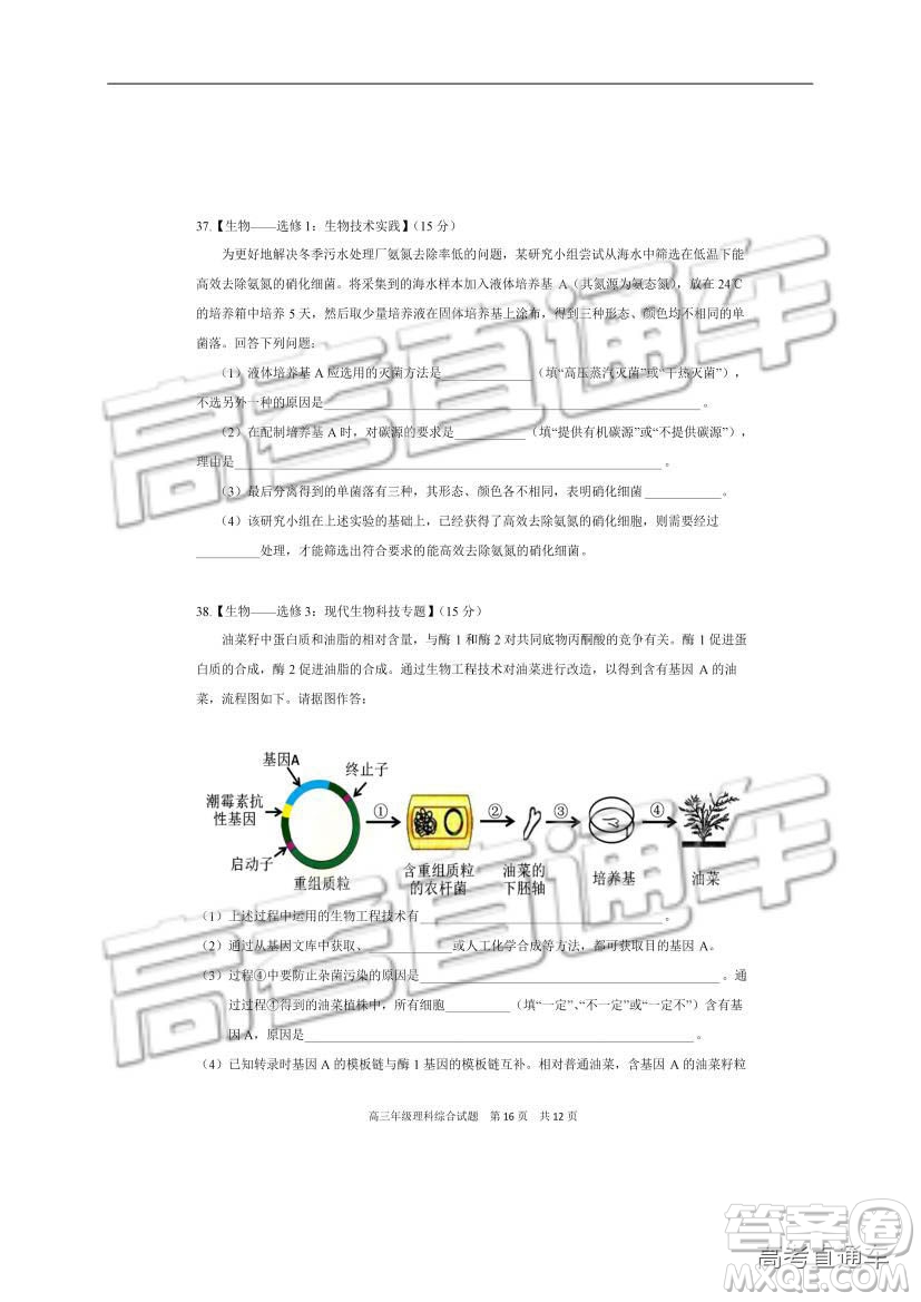 華中師大一附中2018—2019學(xué)年度上學(xué)期高三期中檢測理綜試題及參考答案