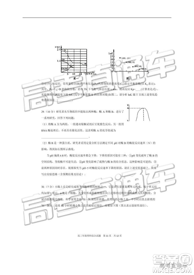 華中師大一附中2018—2019學(xué)年度上學(xué)期高三期中檢測理綜試題及參考答案