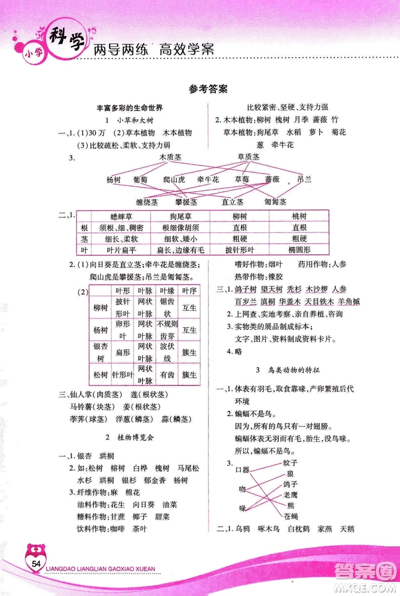 河北人民版2018年新課標(biāo)兩導(dǎo)兩練高效學(xué)案六年級(jí)上冊(cè)科學(xué)答案