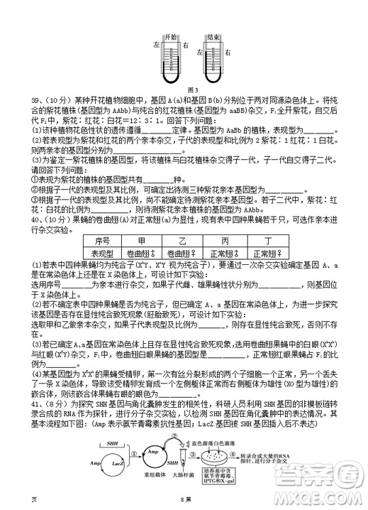 2019屆陜西省西安中學(xué)高三上學(xué)期期中考試生物試題答案