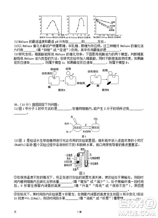 2019屆陜西省西安中學(xué)高三上學(xué)期期中考試生物試題答案