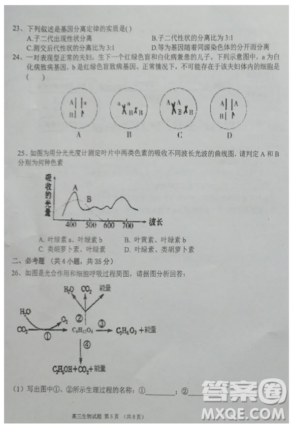 海南省儋州市2019屆高三上學(xué)期第一次統(tǒng)測生物試題及答案