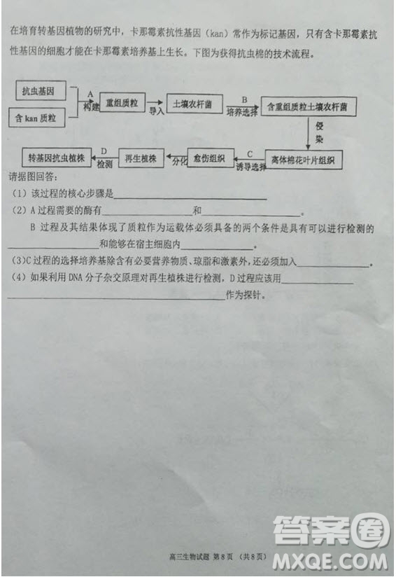 海南省儋州市2019屆高三上學(xué)期第一次統(tǒng)測生物試題及答案