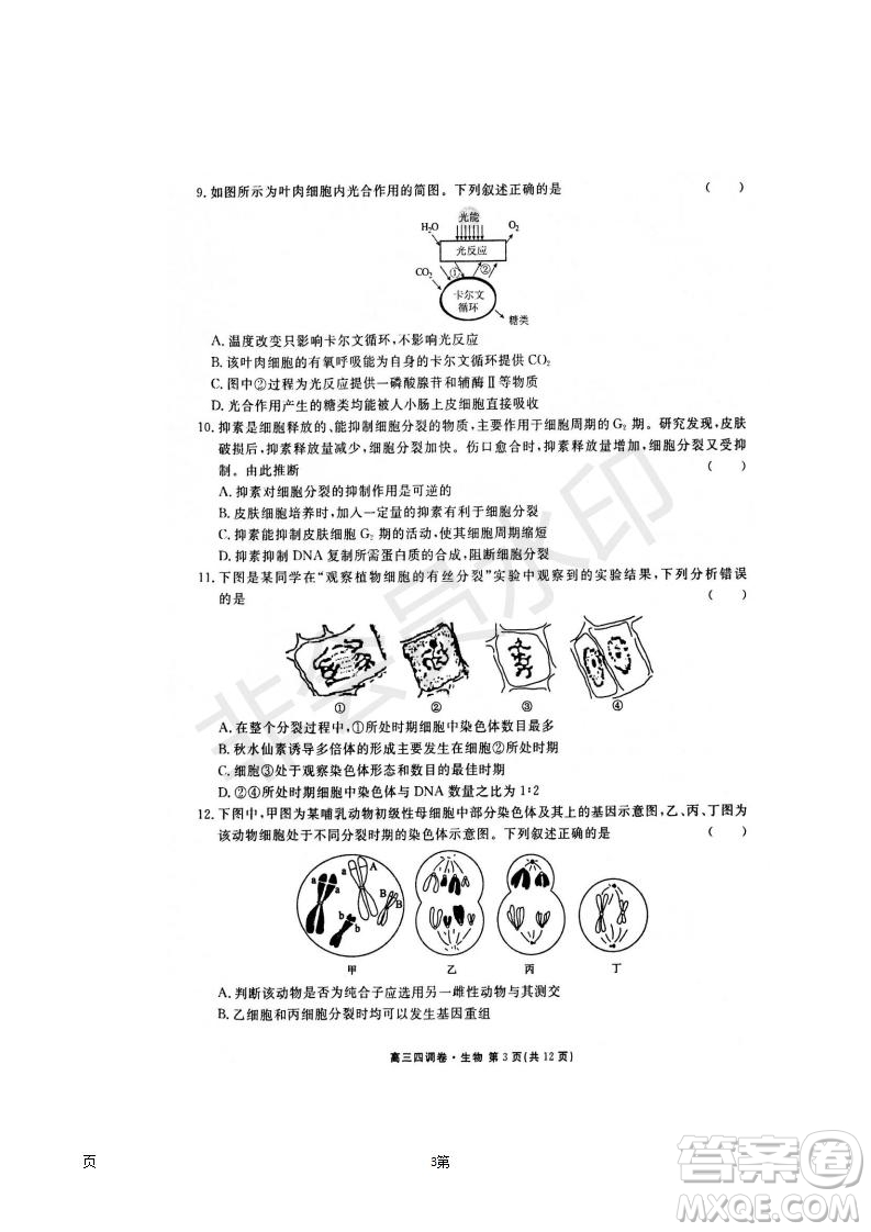 2019屆河北省衡水中學高三上學期四調(diào)考試生物試題及答案