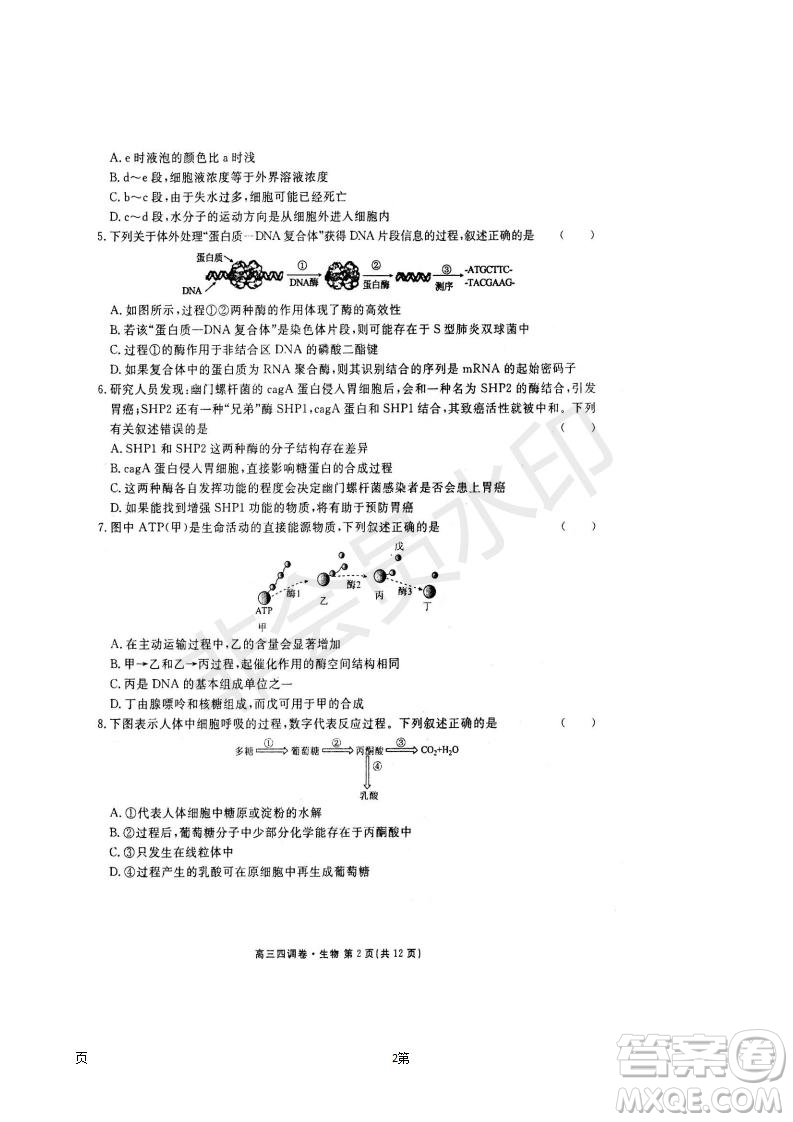 2019屆河北省衡水中學高三上學期四調(diào)考試生物試題及答案