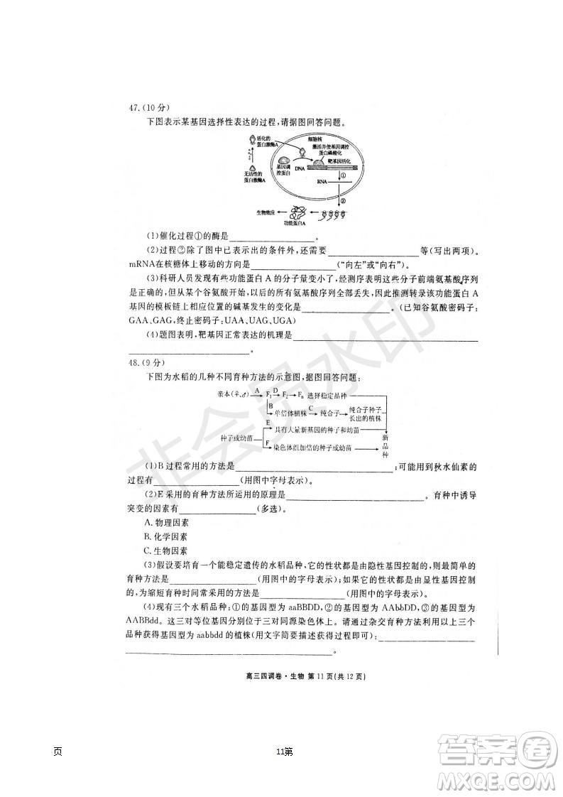 2019屆河北省衡水中學高三上學期四調(diào)考試生物試題及答案