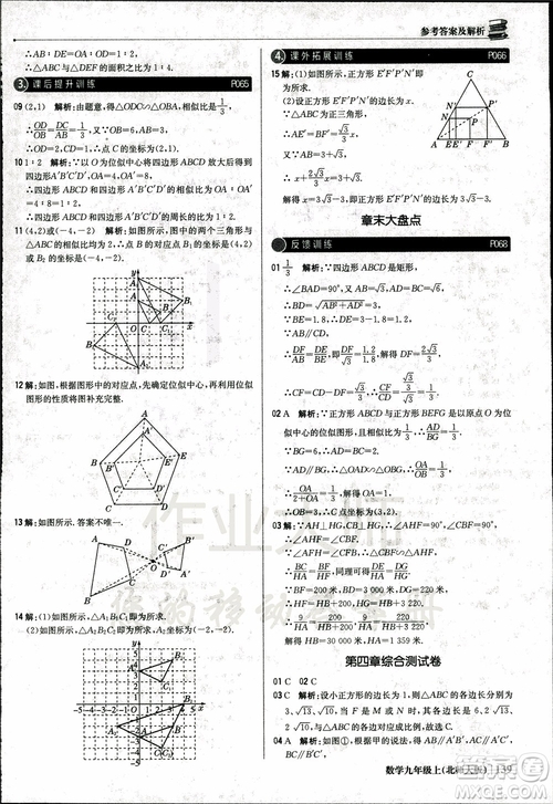 北師大版2019版1+1輕巧奪冠優(yōu)化訓(xùn)練9年級數(shù)學(xué)參考答案