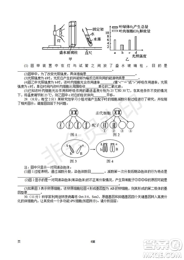 2019屆福建省師大附中高三上學(xué)期期中考試生物試題及答案