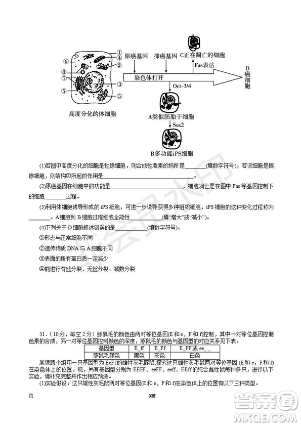 2019屆福建省師大附中高三上學(xué)期期中考試生物試題及答案