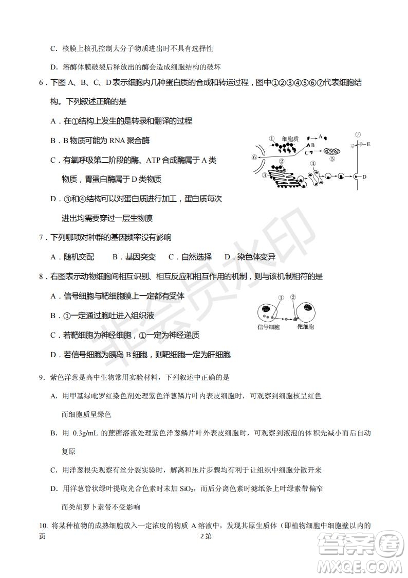 2019屆福建省廈門外國語學(xué)校高三11月月考生物試題及答案