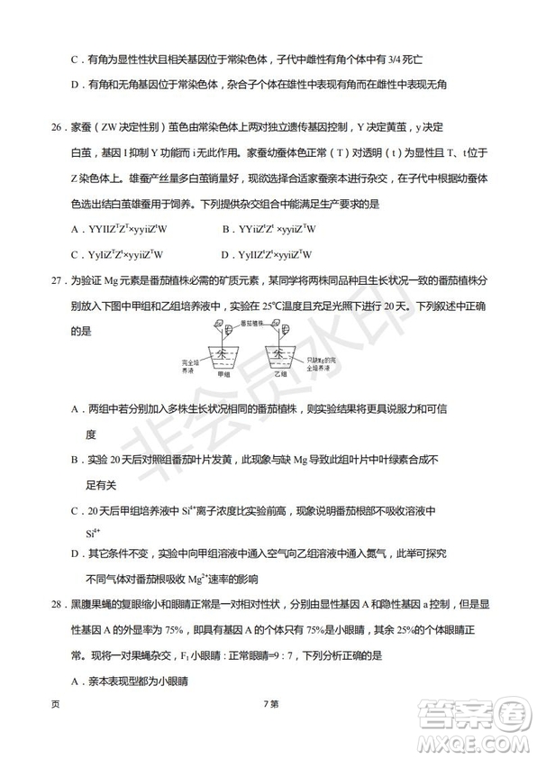 2019屆福建省廈門外國語學(xué)校高三11月月考生物試題及答案